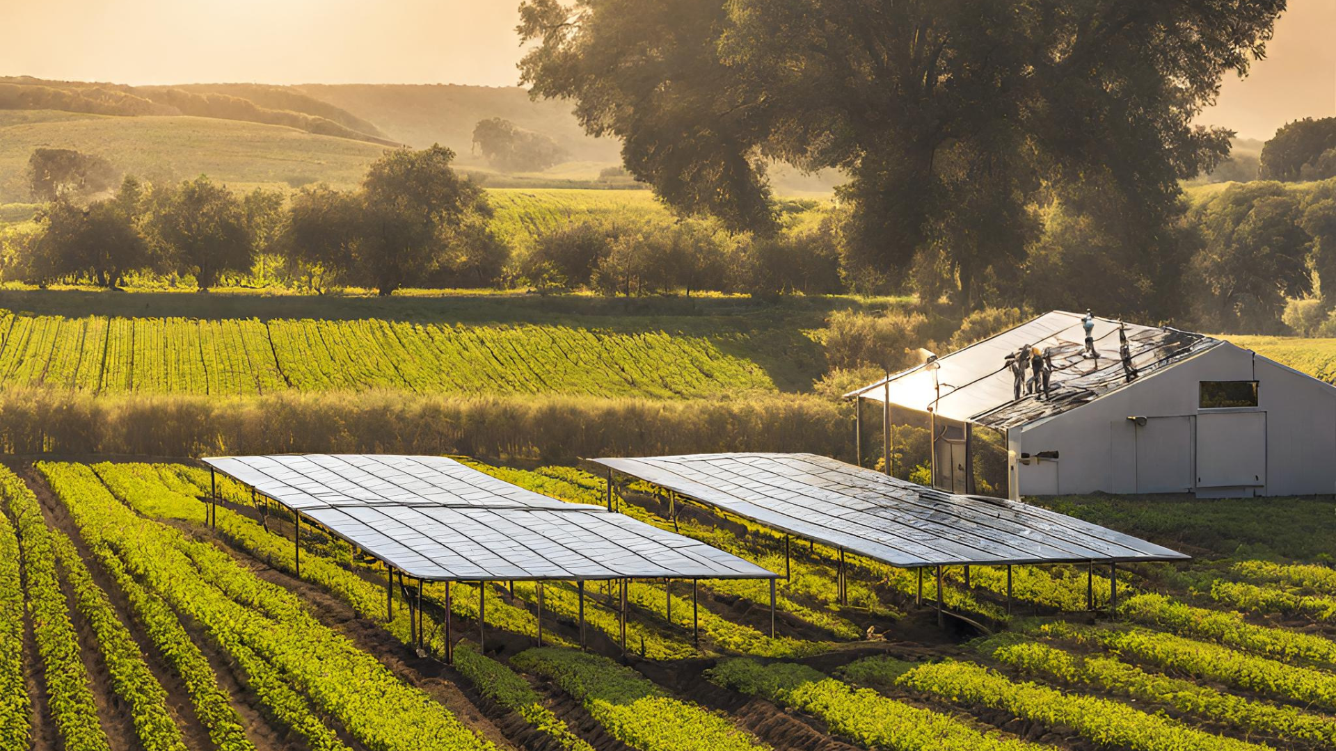 Agrivoltaico, pannelli solari rialzari