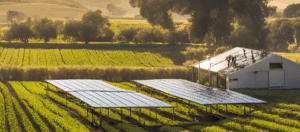 Agrivoltaico, pannelli solari rialzati su un terreno agricolo