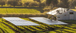 Agrivoltaico, pannelli solari rialzati su un terreno agricolo
